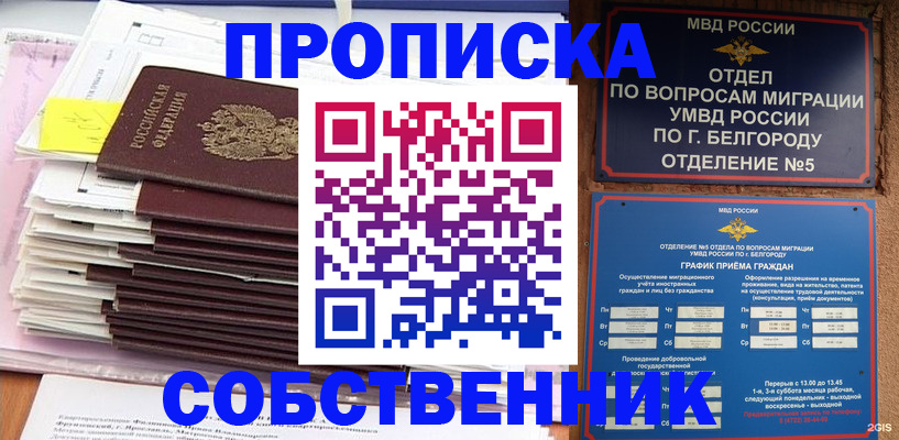 прописка законно в Сланцах